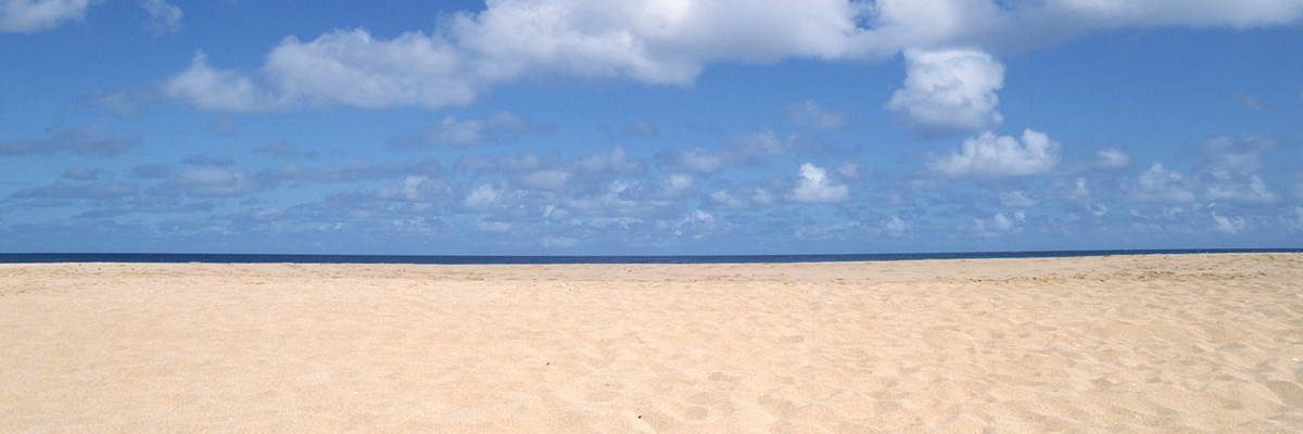 徳島県で交通事故の慰謝料請求に強いおすすめ弁護士一覧